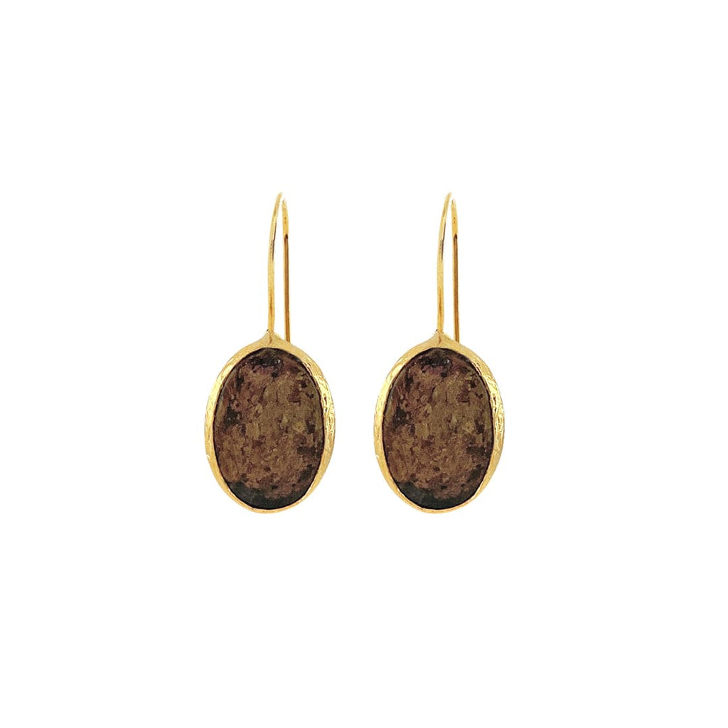 Golden Earrings w/ Brown Pattern Natural Stone