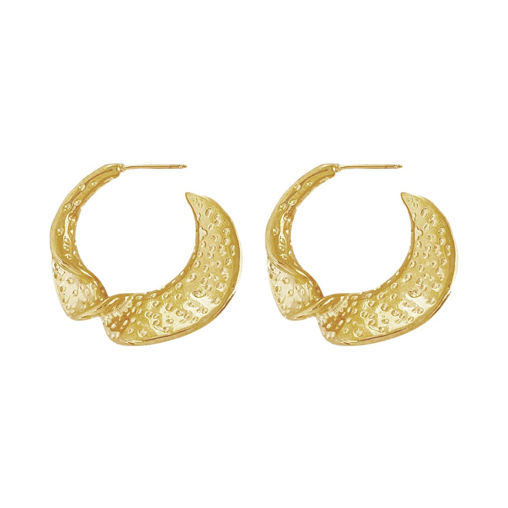 Steel Hoop Earrings w/ Gold Plating